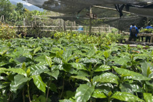 u-noticias_3 u-noticias_3